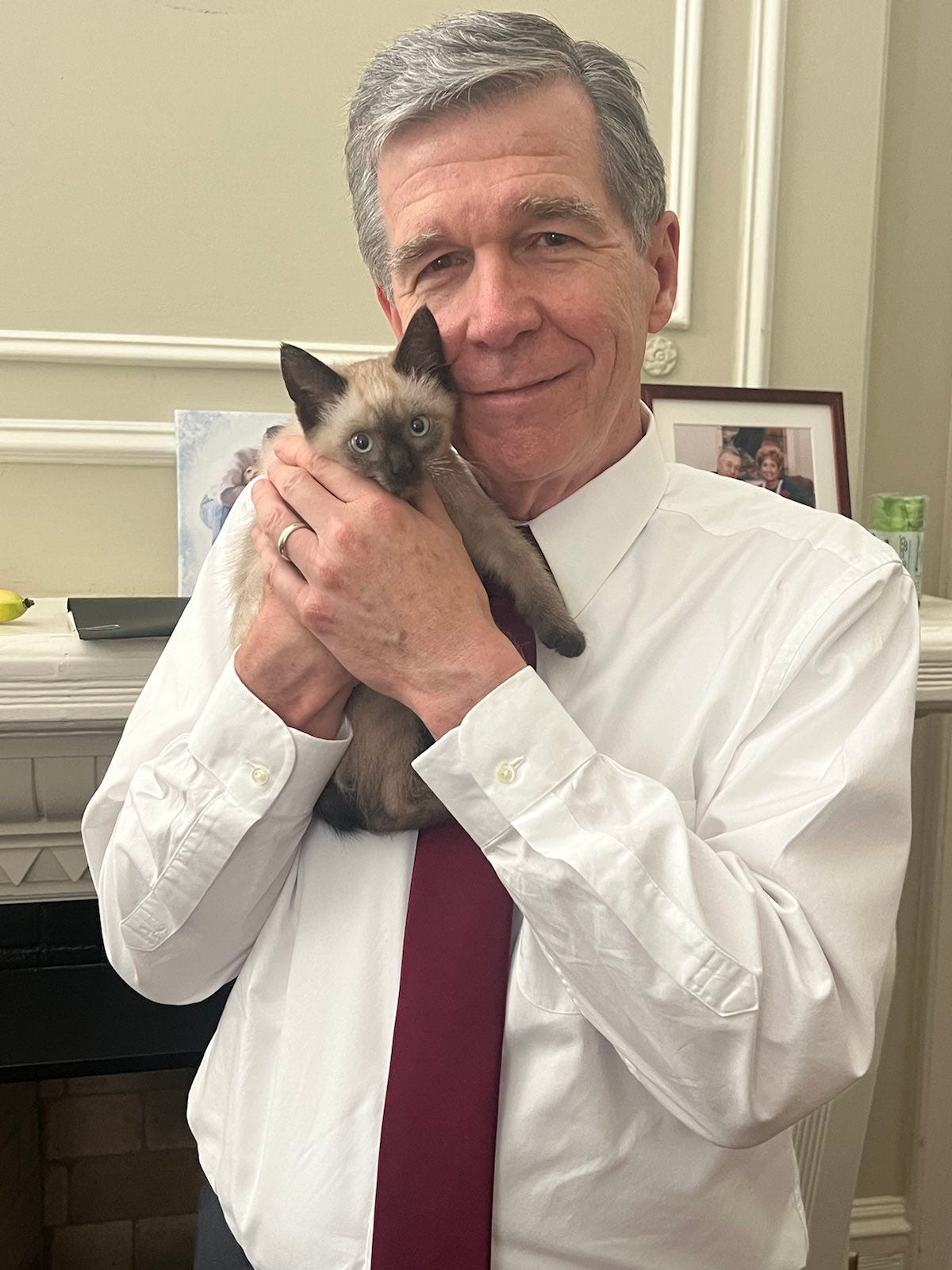 Roy Cooper holding a cat